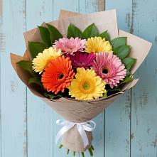 Букет цветов из:  Герберы #REPLACE_PRED# Мундыбаш