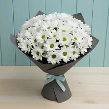 Букет цветов из:  Хризантемы в Мундыбаш